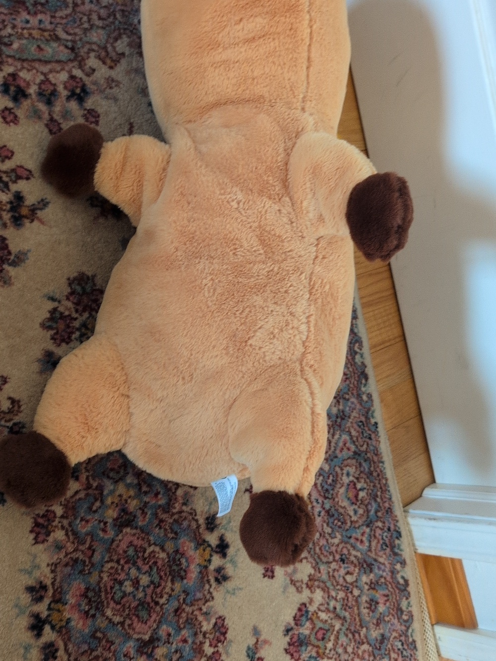 NWT Soft Capybara Weighted Plushy - Picture 6 of 12